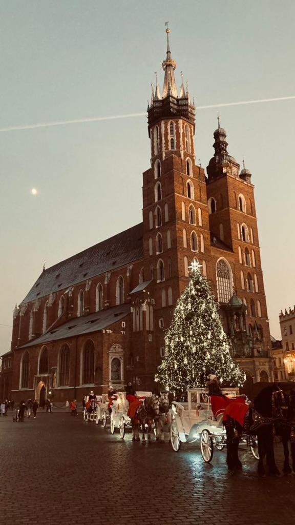 Glamorous Apartment Old Town Cracow 克拉科夫 外观 照片
